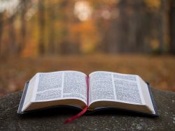 The bible